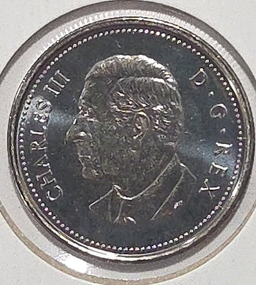 2026 50 Cent BU image 1