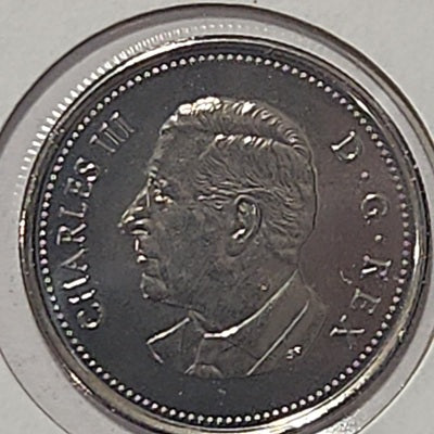 2023 50 Cent BU image 1